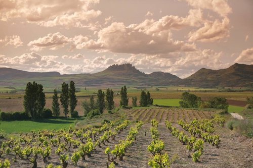 La Rioja Turismo renueva su acuerdo con eDreams