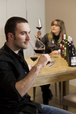 Rioja Alavesa, vino, cata