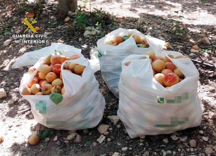 Imagen de los productos intervenidos