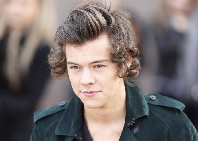 Harry Styles (One Direction) protagonizará la nueva versión de '50 Sombras de Gr
