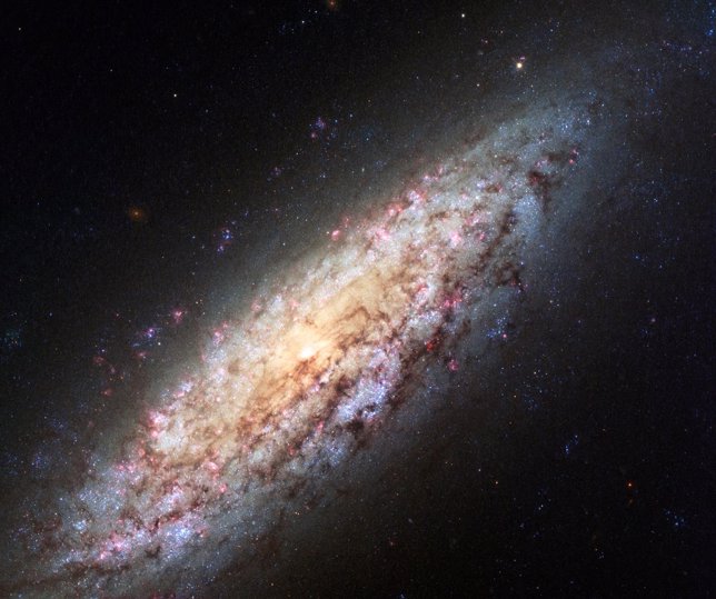 NGC 6503,