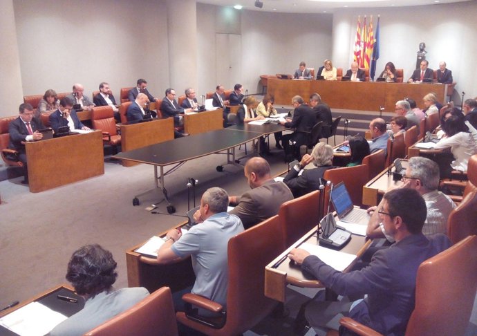 Pleno ordinario de mayo de 2015 de la Diputación de Barcelona