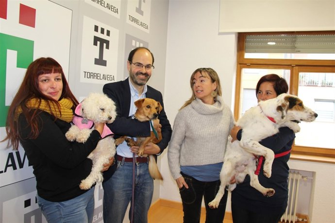 Balance Medio Ambiente Torrelavega 