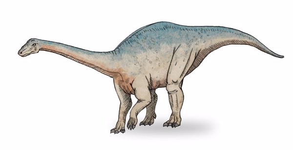 Cinco curiosidades sobre los dinosaurios para contar a los niños
