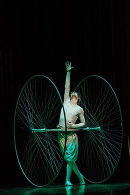 Cirque du Soleil presenta 'Varekai' 