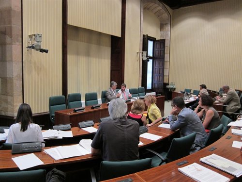 Comisión del Parlament sobre la quiebra de Spanair