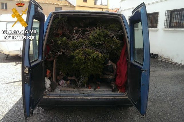 La Guardia Civil imputa a dos personas por infracciones a la Ley de Montes