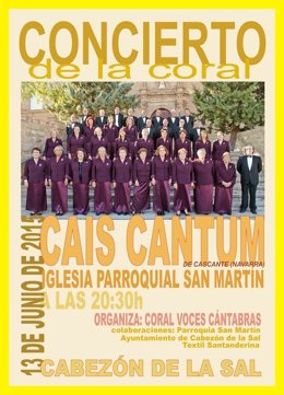 Cartel del concierto