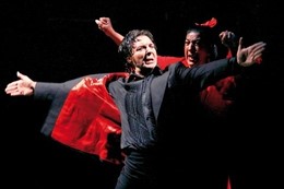 Flamenco en la Bienal de Málaga