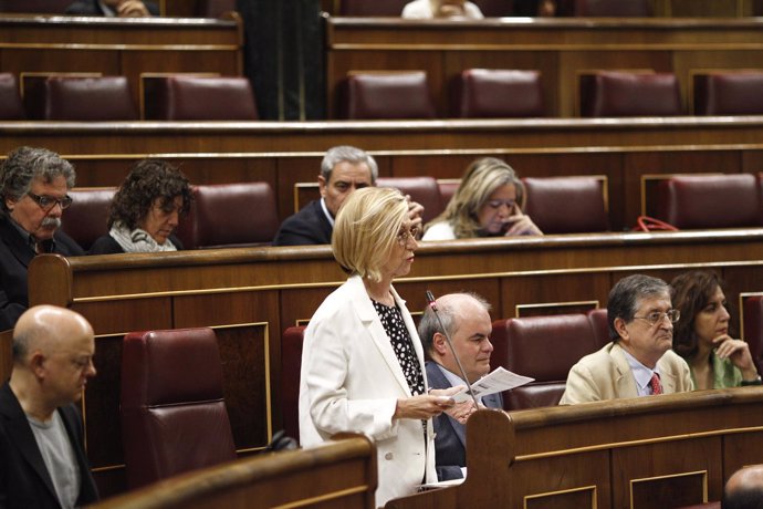 Rosa Díez en el Congreso