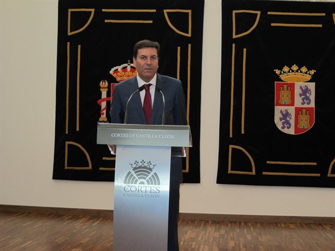 El portavoz del PP en las Cortes Carlos Fernández Carriedo