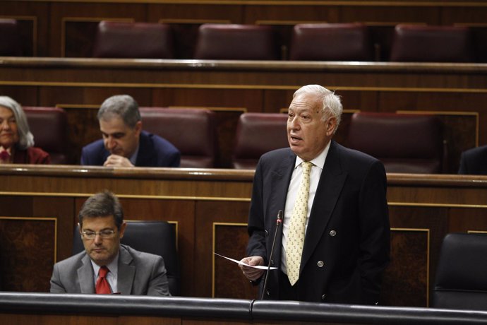 José Manuel García Margallo en el Congreso
