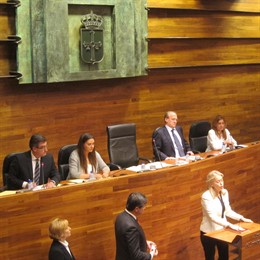 Cristina Coto en la Junta General