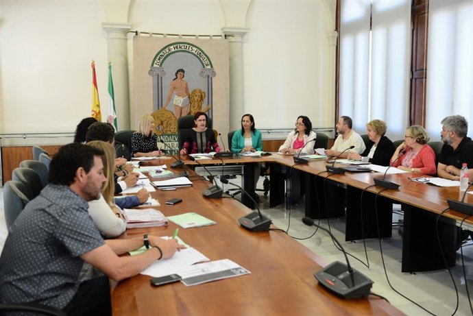 Reunión de la Comisión Provincial de Absentismo Escolar.