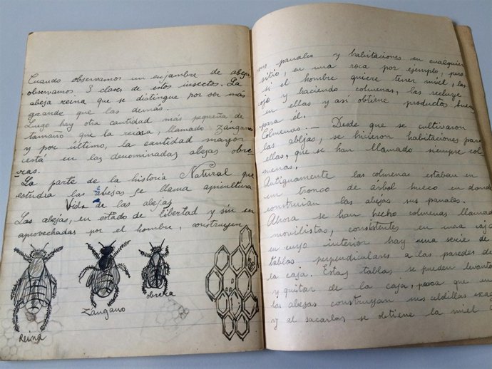 Cuaderno escolar de Josep Vallverdú