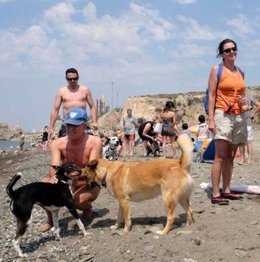 Playa canina perros arroyo Totalán, entre Málaga y Rincón de la Victoria