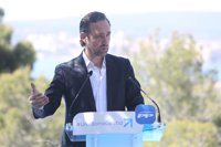 Bauzá se presentará como senador autonómico por el PP