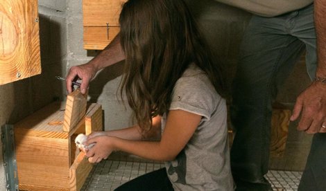 Cooperación y Desarrollo