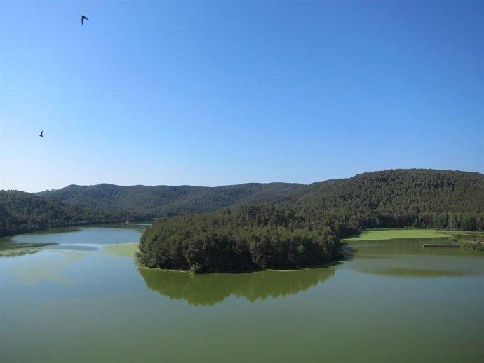  Presentación De La Red De Reservas De La Biosfera Mediterráneas (Rrbmed)