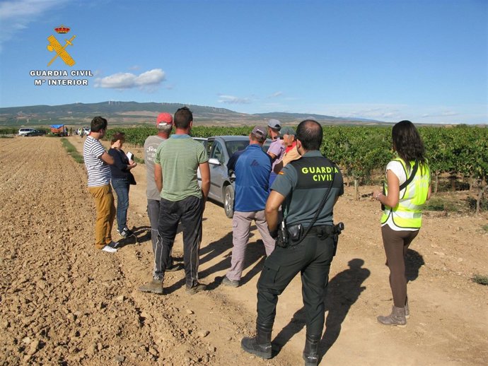 Foto inspección trabajadores de campo