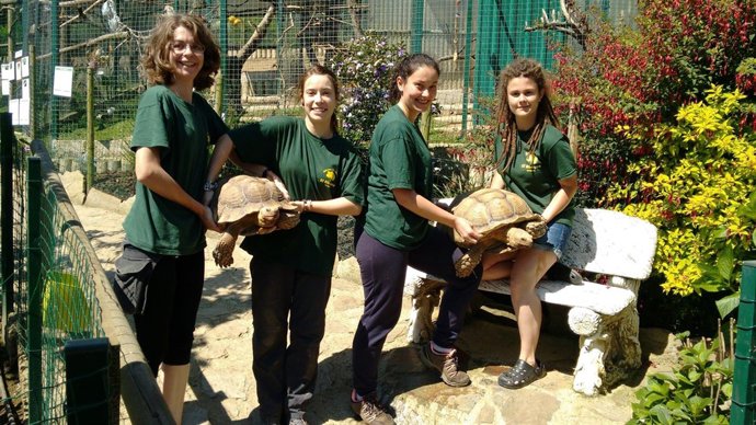 Operarias del Zoo muestran a las tortugas africanas. 