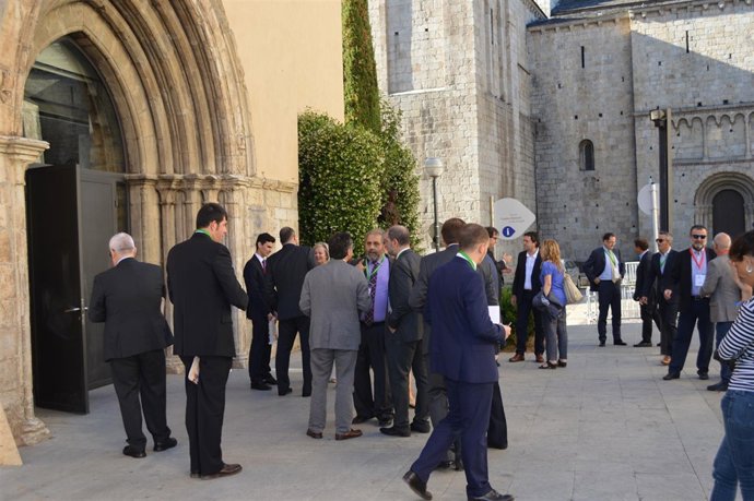 El 75 De Lrios De Lal Pirineu, Retirada Gos Olímpi