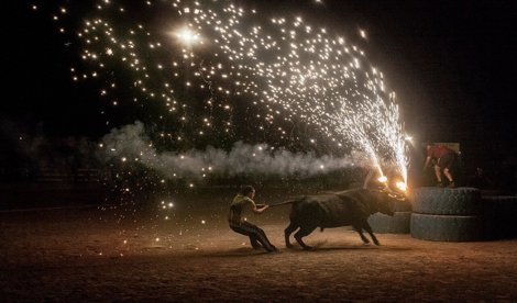 Cooperación y Desarrollo