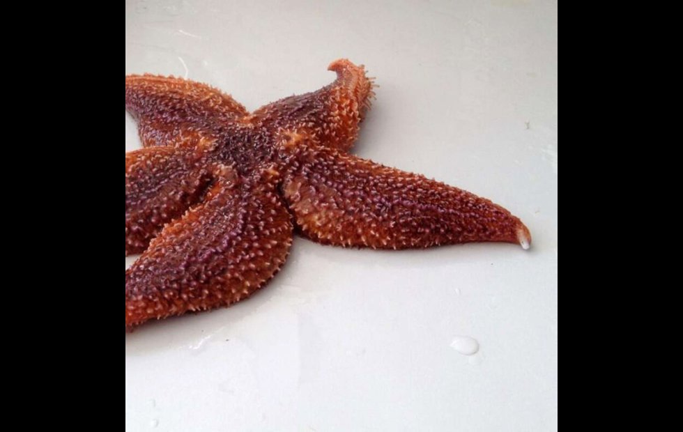 Foto: POPULAR SCIENCE