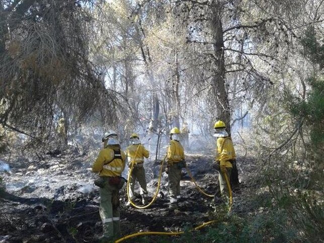 Medios de la Conselleria trabajan en un incendio en Es Cubells
