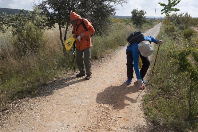 Peregrinos recogiendo basura