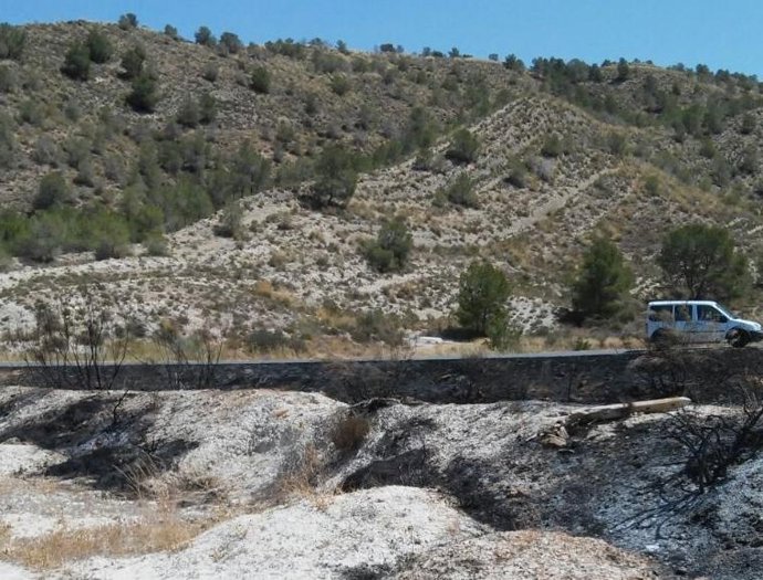 Zona afectada por el incendio