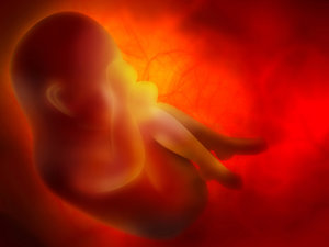 Desarrollo del bebé en la semana 29 de embarazo