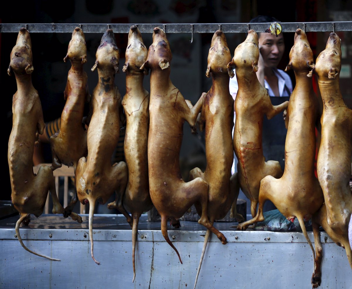 Voces se alzan contra 'Festival' de consumo de carne de perro en Yulin