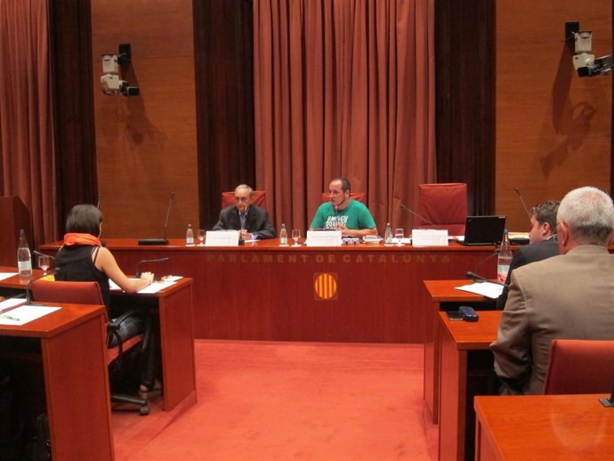 Abogado Joan Piqué Vidal, David Fernández (CUP)