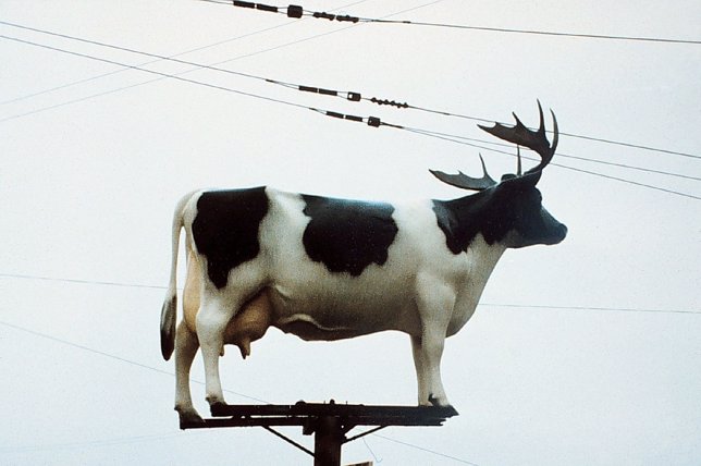 Una vaca con cuernos sobre una plataforma, cerca de unos cables eléctricos