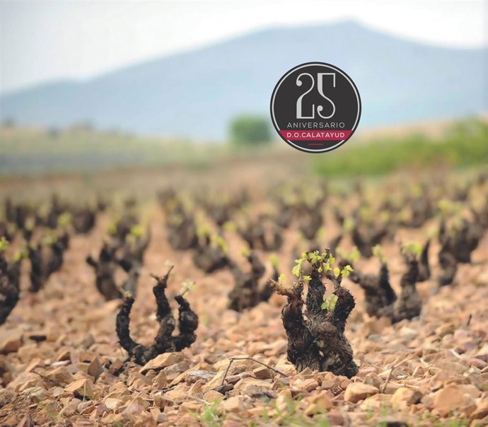 XXV Anviersario D.O. Calatayud
