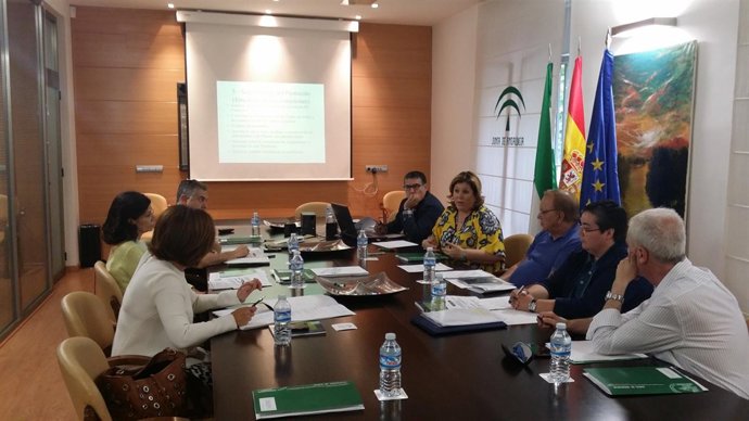 Participantes en la reunión para constituir la comisión sobre discapacidad.