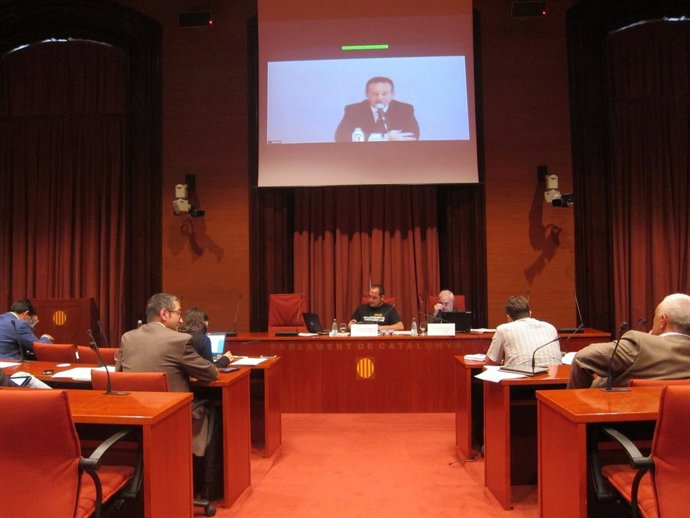 El director general de Andbank, Ricard Tubau, en el Parlament