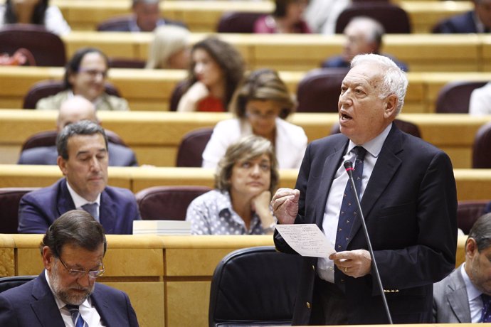 El ministro García Margallo en el Senado