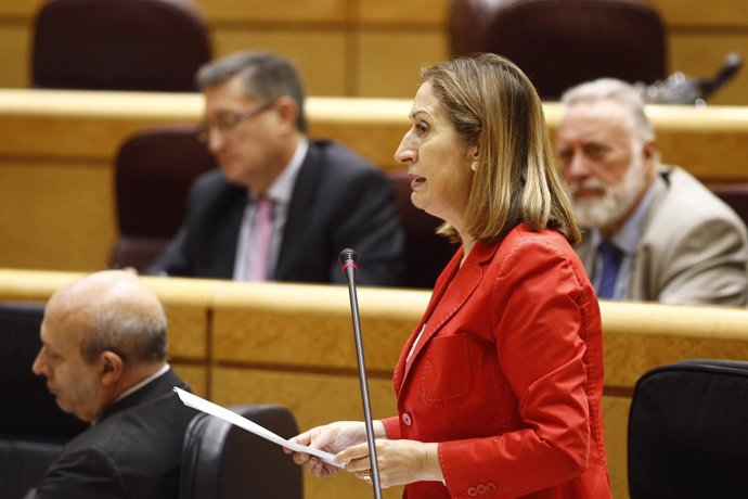 La ministra Ana Pastor en el Senado 