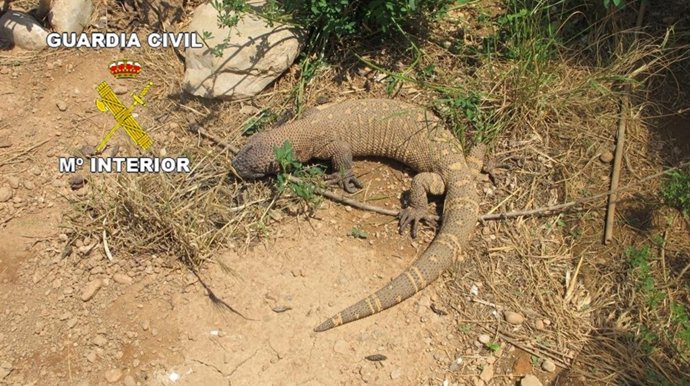 Remitiendo Dos Notas De Prensa