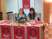 Asociaciones LGBTI piden que se cuente con la legislación regional para una "ley estatal"