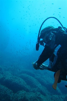 Buceador submarinista submarinismo especies UICN agua mar mediterráneo