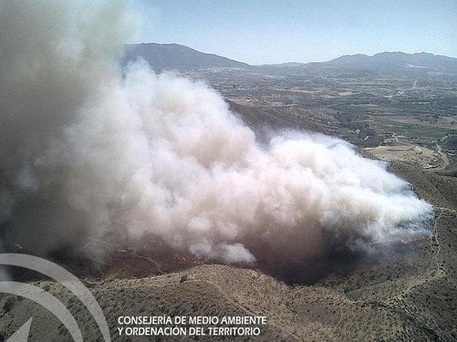 Incendio forestal en Pizarra