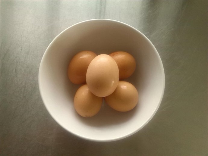 La composición de la cutícula de la cáscara de huevo influye en la salmonela