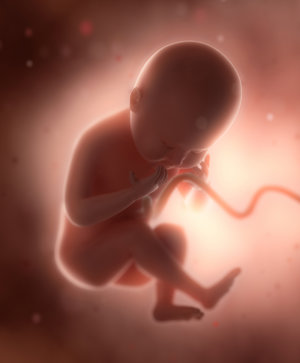 Desarrollo del bebé en la semana 36 de embarazo