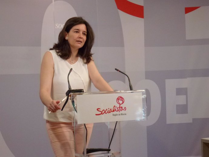 Ludeña (PSOE) en rueda de prensa 