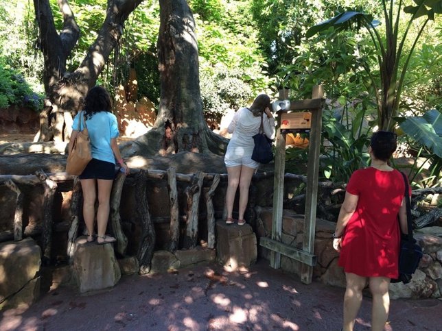 Turistas visitantes viajeros personas ocio parque temático naturaleza pájaros