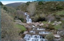 Hábitat natural en Alto Campoo