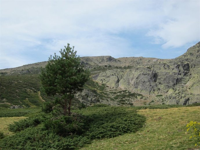Parque Nacional de la Sierra de Guadarrama
